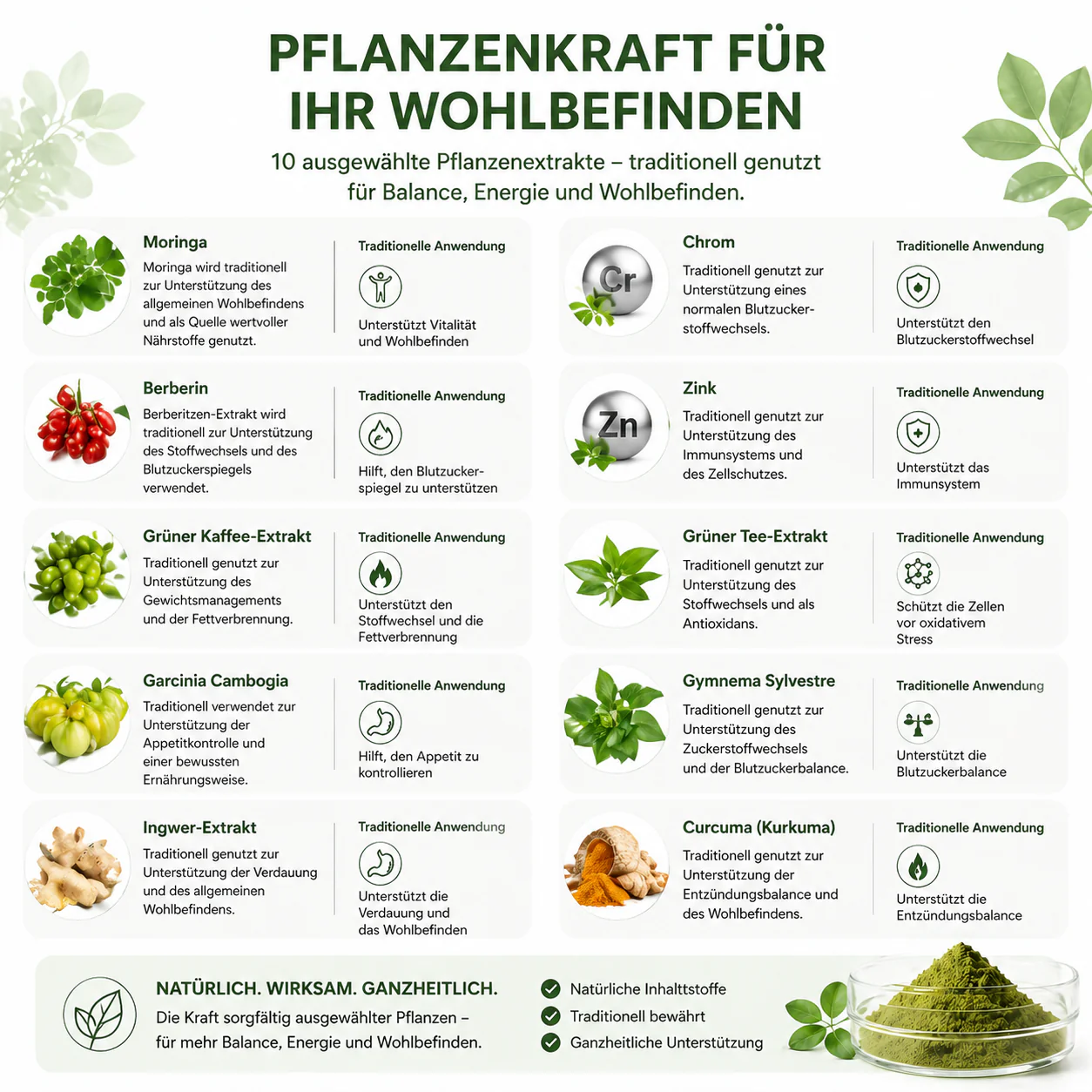 Pith Wellness Moringa-Berberin 10-in-1 Nano-Pflaster - Image 2